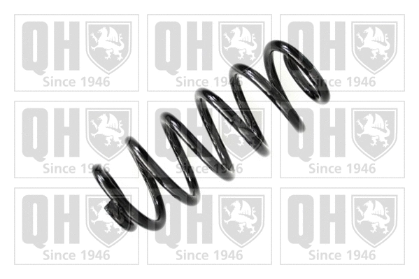 Suspension Spring (QCS6160)