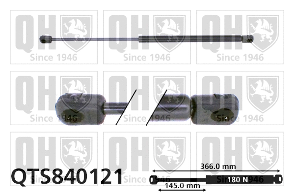 Gas Spring, boot/cargo area (QTS840121)