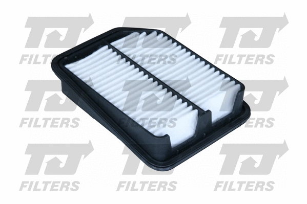Air Filter (QFA0851)