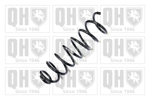 Suspension Spring (QCS5530)