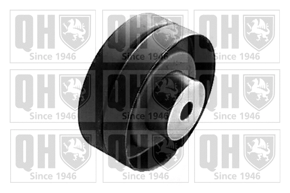 Tensioner Pulley, timing belt (QTT128)