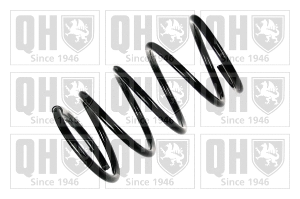 Suspension Spring (QCS6165)
