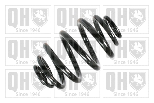 Suspension Spring (QCS5903)