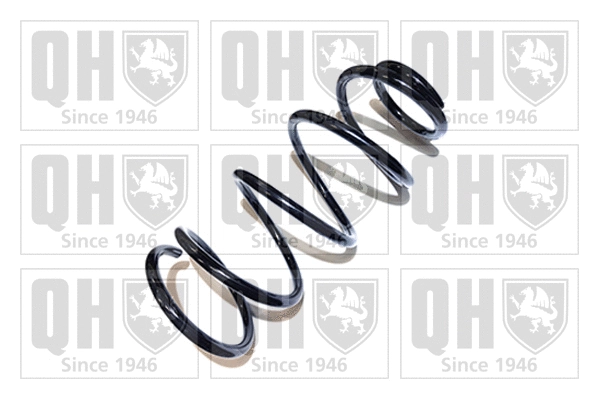 Suspension Spring (QCS6619)