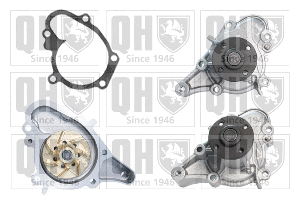 Water Pump, engine cooling (QCP3713)