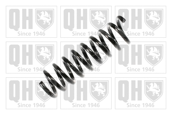 Suspension Spring (QCS7296)