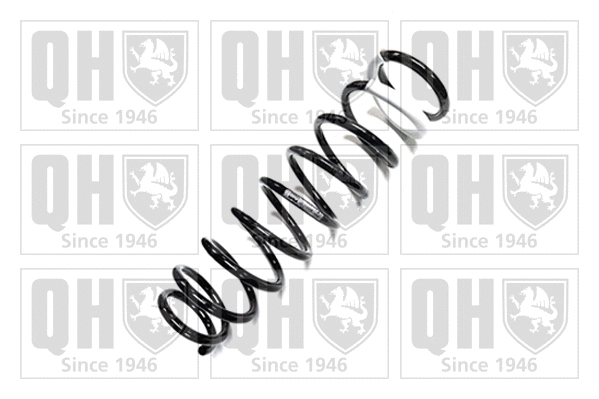 Suspension Spring (QCS5006)
