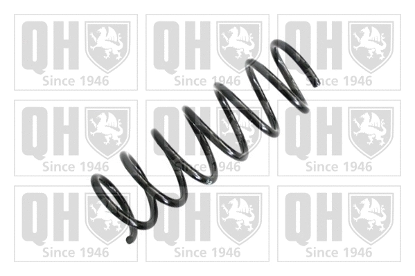 Suspension Spring (QCS6064)