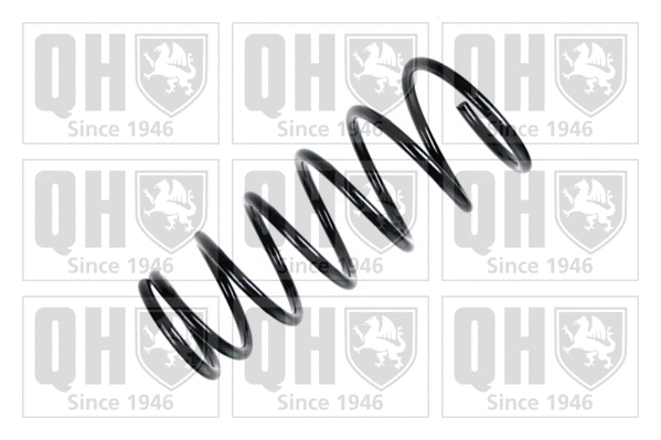 Suspension Spring (QCS5170)