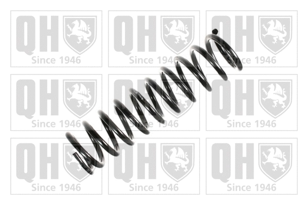 Suspension Spring (QCS8177)