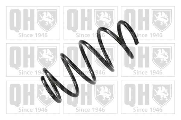 Suspension Spring (QCS7856)