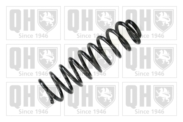 Suspension Spring (QCS6231)