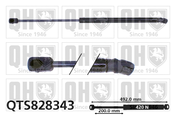 Gas Spring, boot/cargo area (QTS828343)