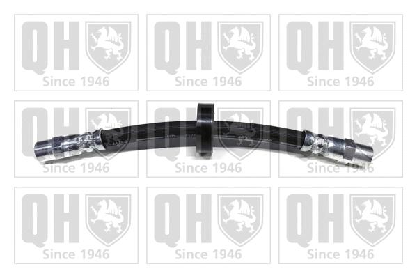 Brake Hose (BFH1078)