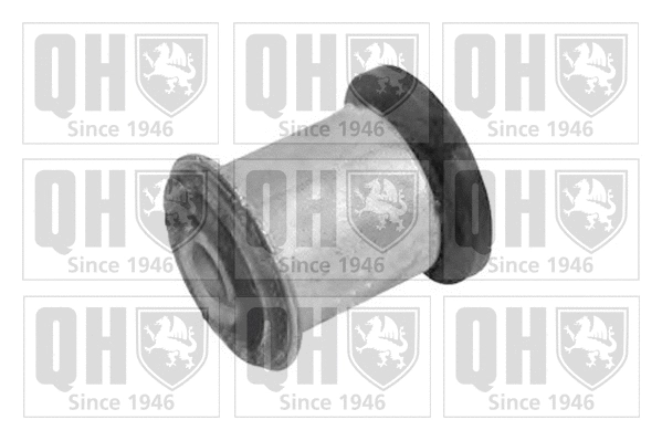 Mounting, control/trailing arm (EMS8403)