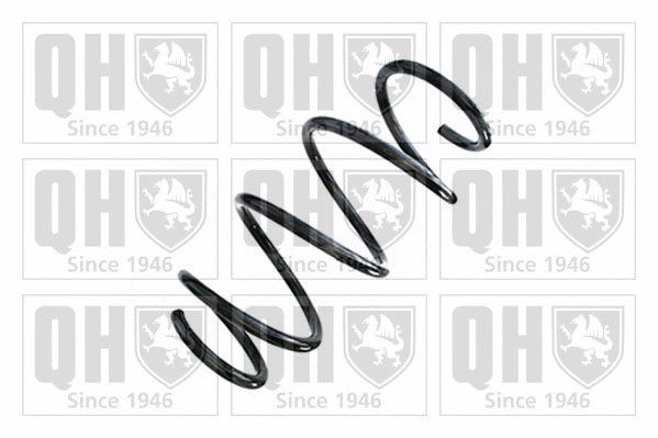 Suspension Spring (QCS8964)
