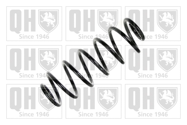 Suspension Spring (QCS5767)