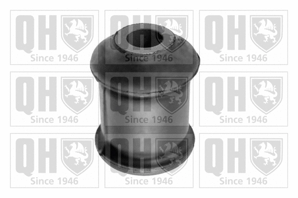 Mounting, control/trailing arm (EMS8454)