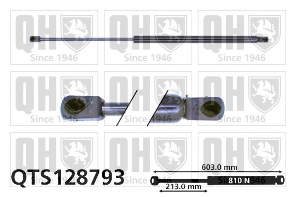 Gas Spring, boot/cargo area (QTS128793)