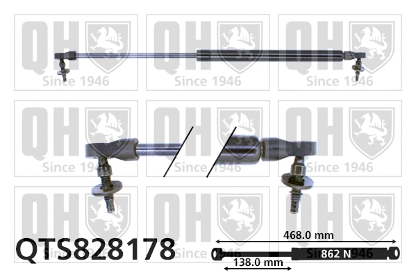 Gas Spring, boot/cargo area (QTS828178)