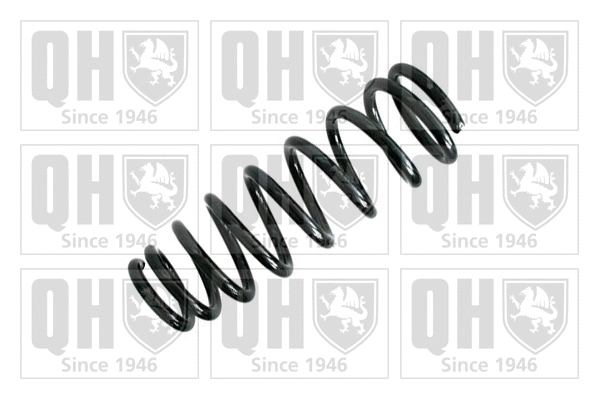 Suspension Spring (QCS7319)