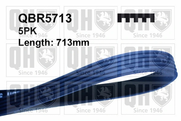 V-Ribbed Belt (QBR5713)