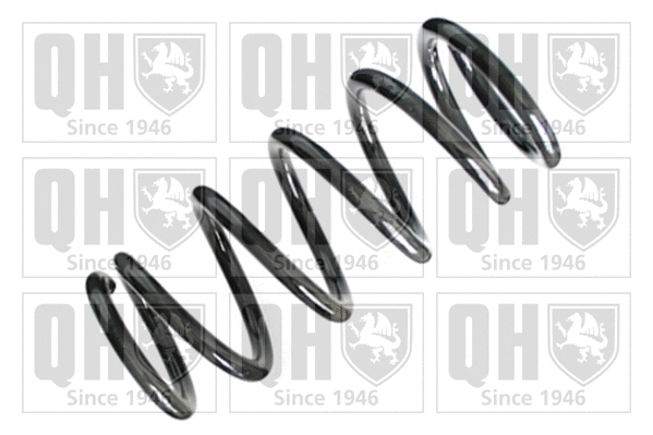 Suspension Spring (QCS6486)