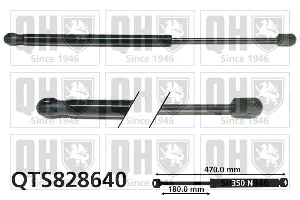 Gas Spring, boot/cargo area (QTS828640)