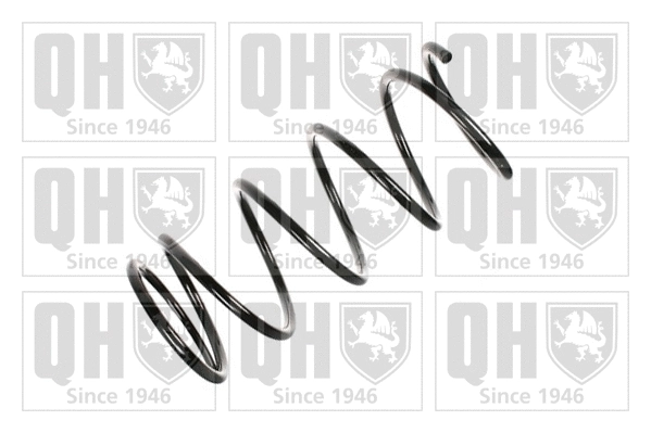 Suspension Spring (QCS7772)