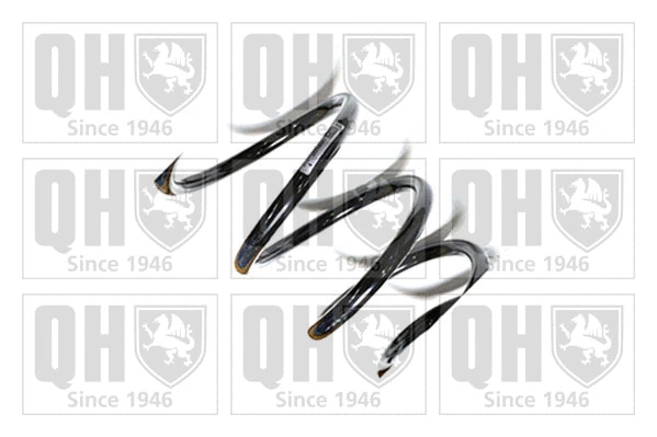 Suspension Spring (QCS6237)