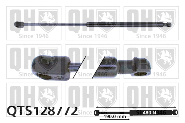 Gas Spring, boot/cargo area (QTS128772)