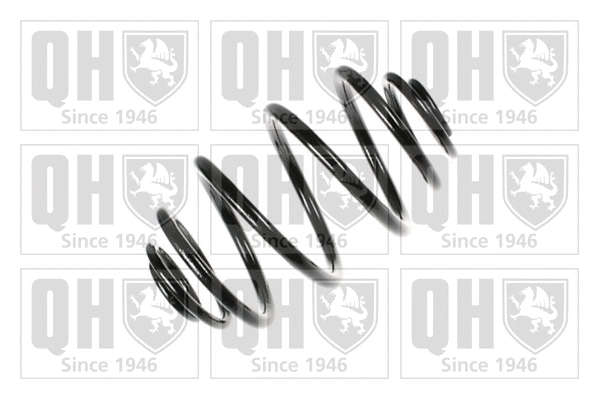 Suspension Spring (QCS5847)
