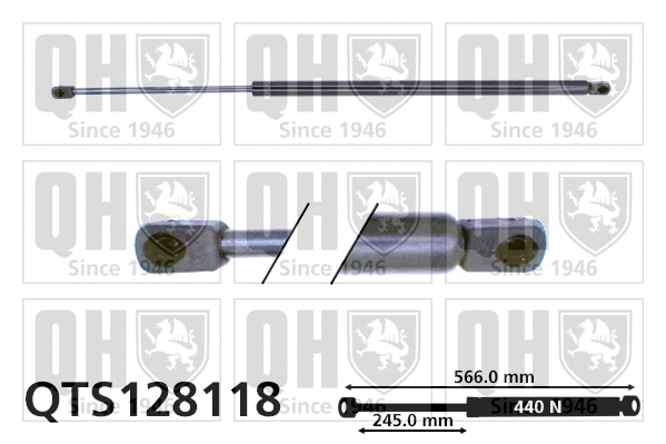 Gas Spring, boot/cargo area (QTS128118)