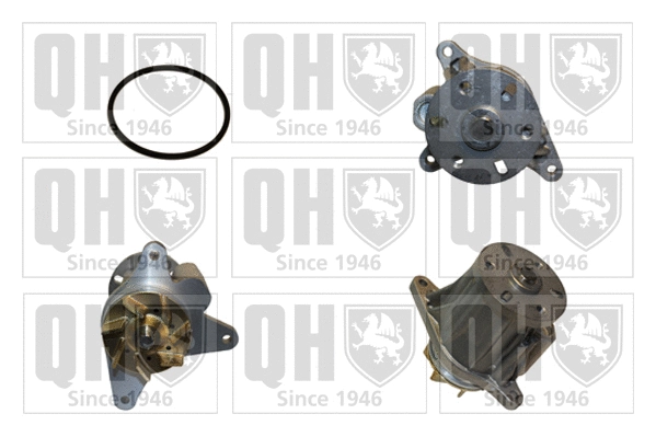 Water Pump, engine cooling (QCP3786)