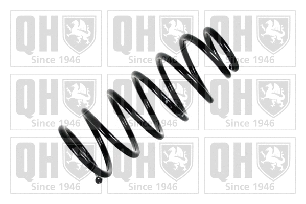 Suspension Spring (QCS5458)