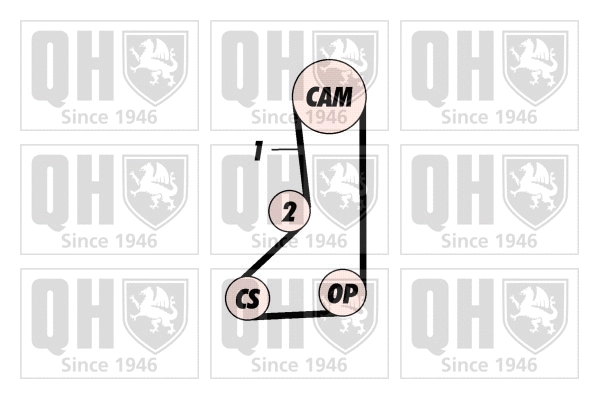 Timing Belt Kit (QBK533)
