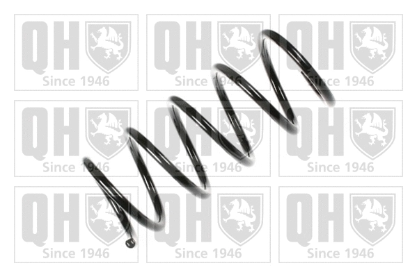 Suspension Spring (QCS5920)