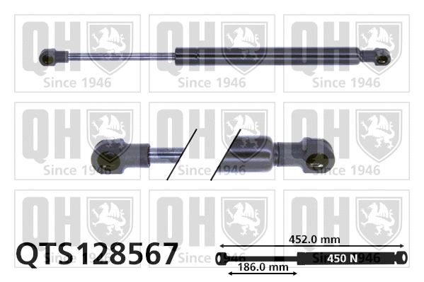 Gas Spring, boot/cargo area (QTS128567)