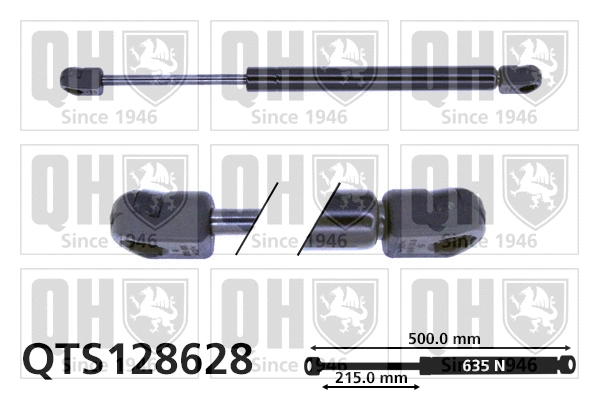 Gas Spring, boot/cargo area (QTS128628)