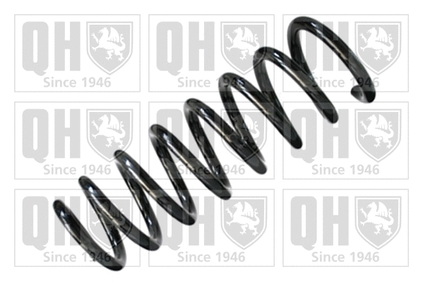 Suspension Spring (QCS6275)