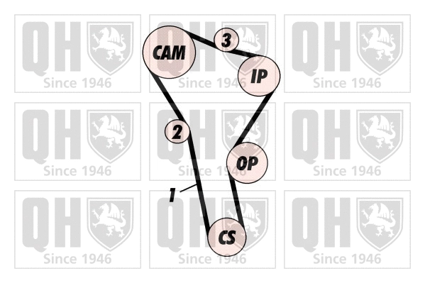 Timing Belt Kit (QBK257)