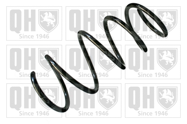 Suspension Spring (QCS6995)
