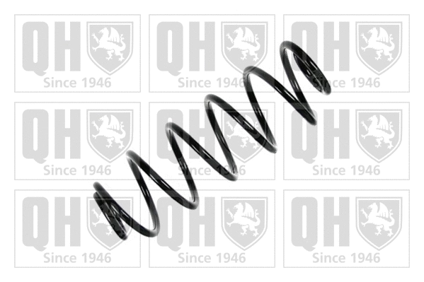 Suspension Spring (QCS6462)