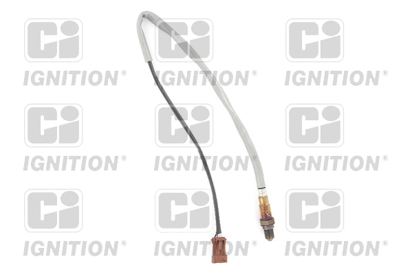 Lambda Sensor (XLOS1556)