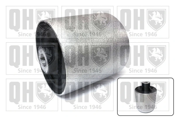 Mounting, control/trailing arm (EMS8723)