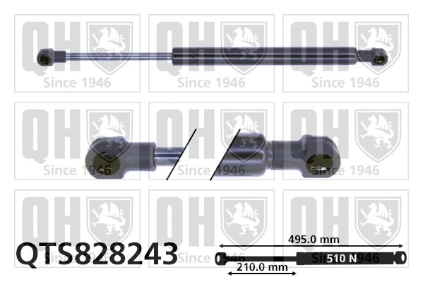 Gas Spring, boot/cargo area (QTS828243)