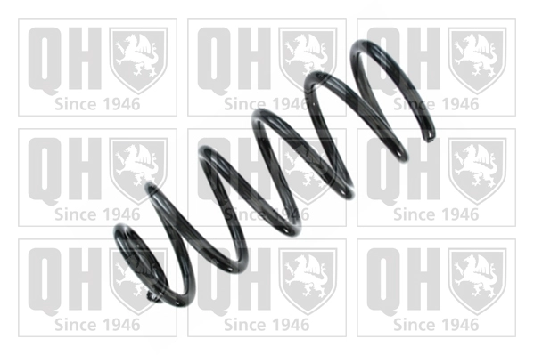 Suspension Spring (QCS8621)
