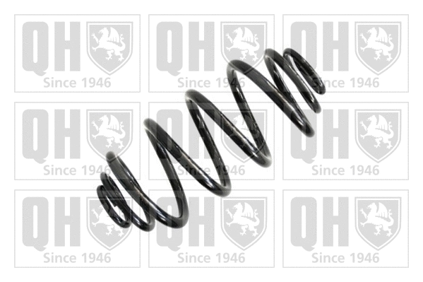 Suspension Spring (QCS6802)