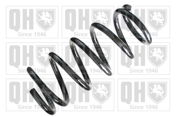 Suspension Spring (QCS7101)