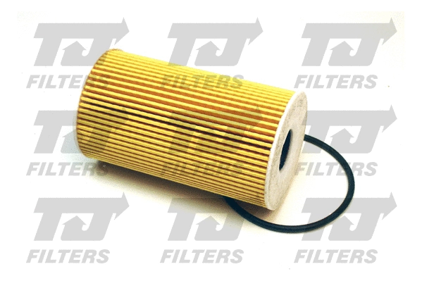 Oil Filter (QFL0166)
